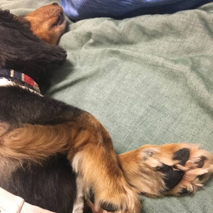 3c63e3b0 e882 4b35 bed2 67bc02106c46