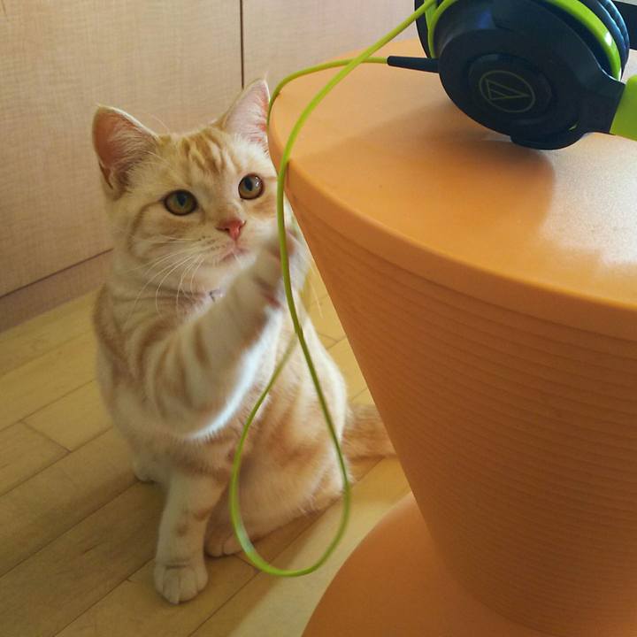 3c646cb7 c430 4735 ac61 b72b9cb37ef5