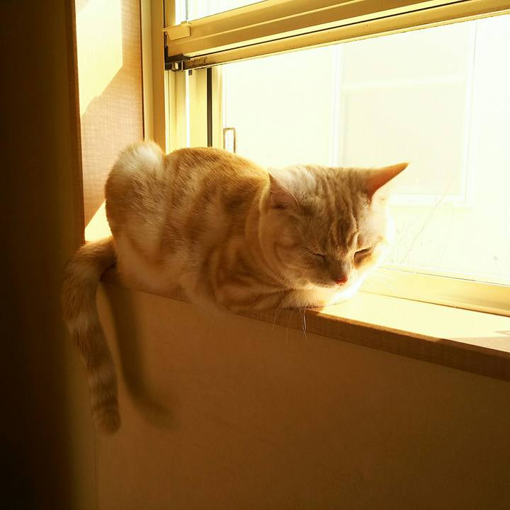 3c6484c6 03e5 4c5c b45b 16d4e5412b74