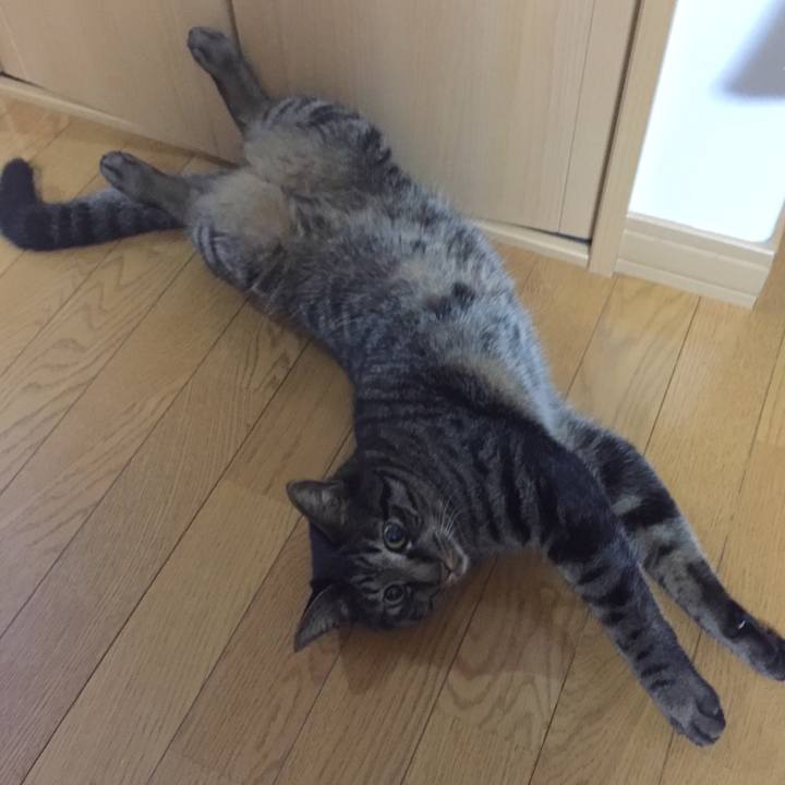 3c65667a 474d 493a bb5d ee289abb08cd