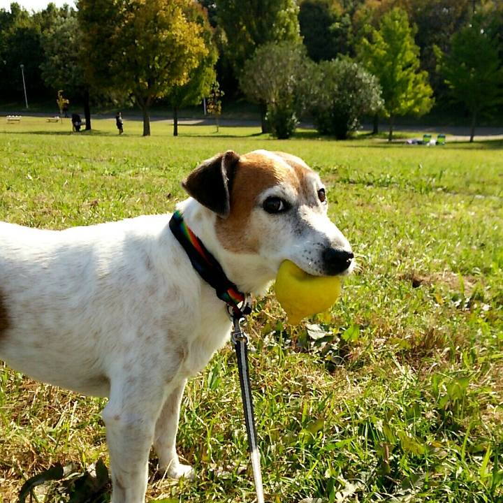 3c65ad17 e493 4756 8f0a 62899dcc5be4