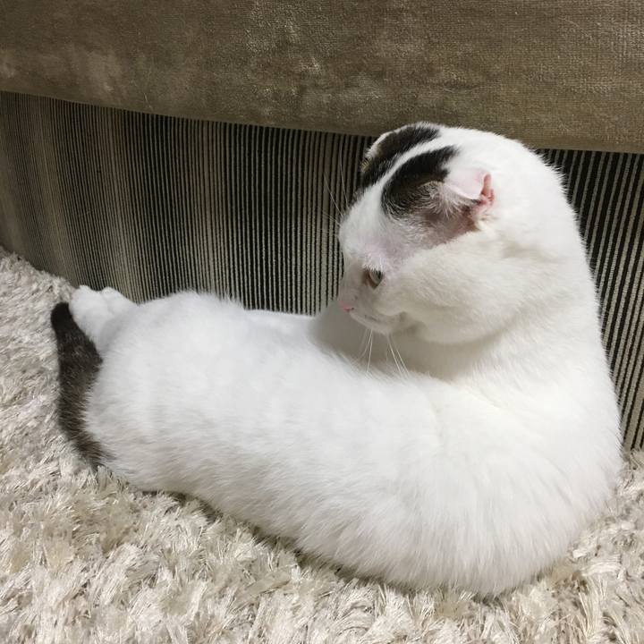 3c65c007 71a3 4cca a35d 4fd6ae07be07