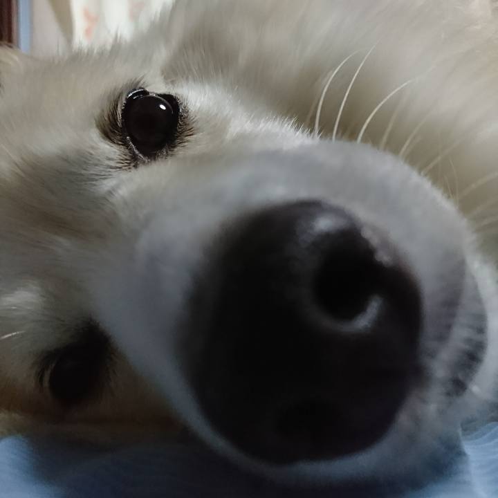 3c65dc8a 3b97 4000 998a 7643cccb966f