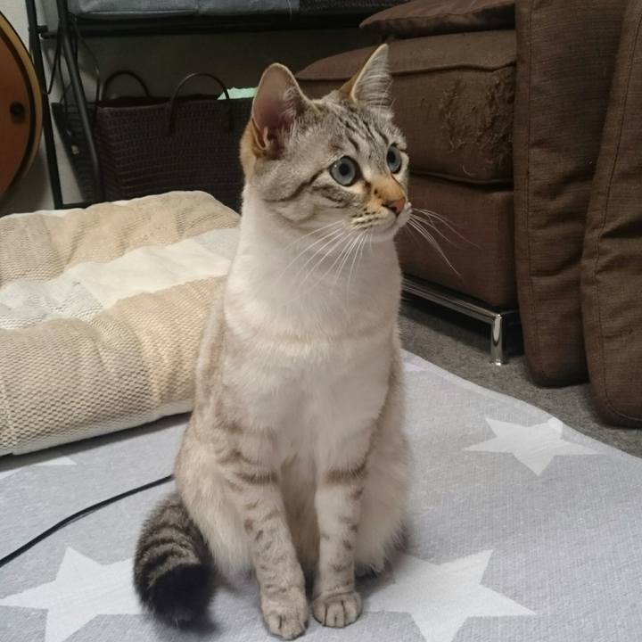 3c65e77f d869 4484 a4f6 90c3b5127286