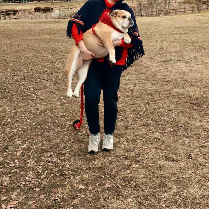 3c661c7d 638e 40f6 9281 7c12aac40227