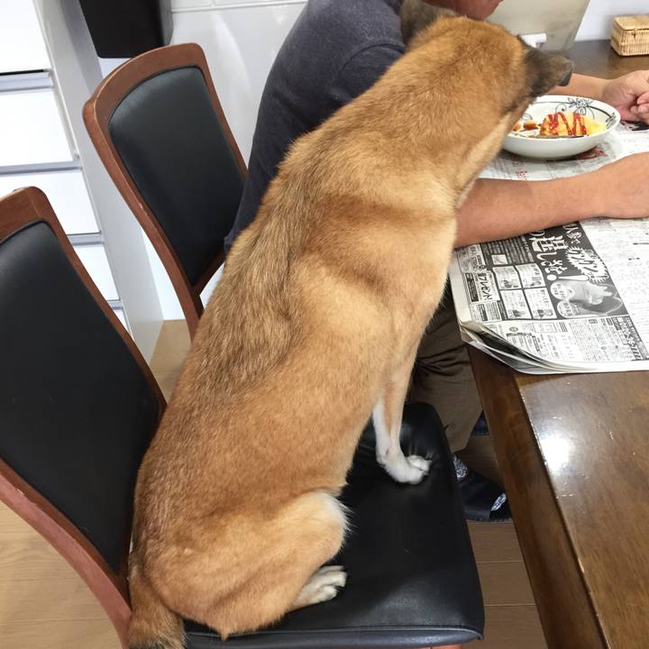 3c66a2ae fb48 49fd 8959 733f594bc9d1