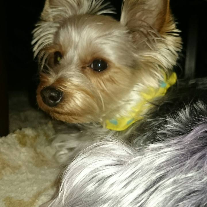 3c66d58b baf5 4f66 be17 3a8873199d7d