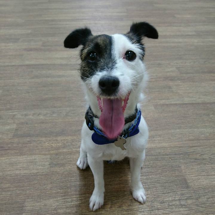 3c673035 f300 4a0f 8b97 66e832b86d96