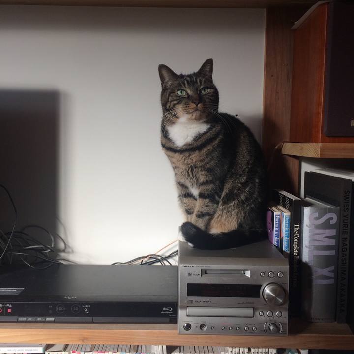 3c690c4f cacc 43c0 9e5c 39cf89e82388