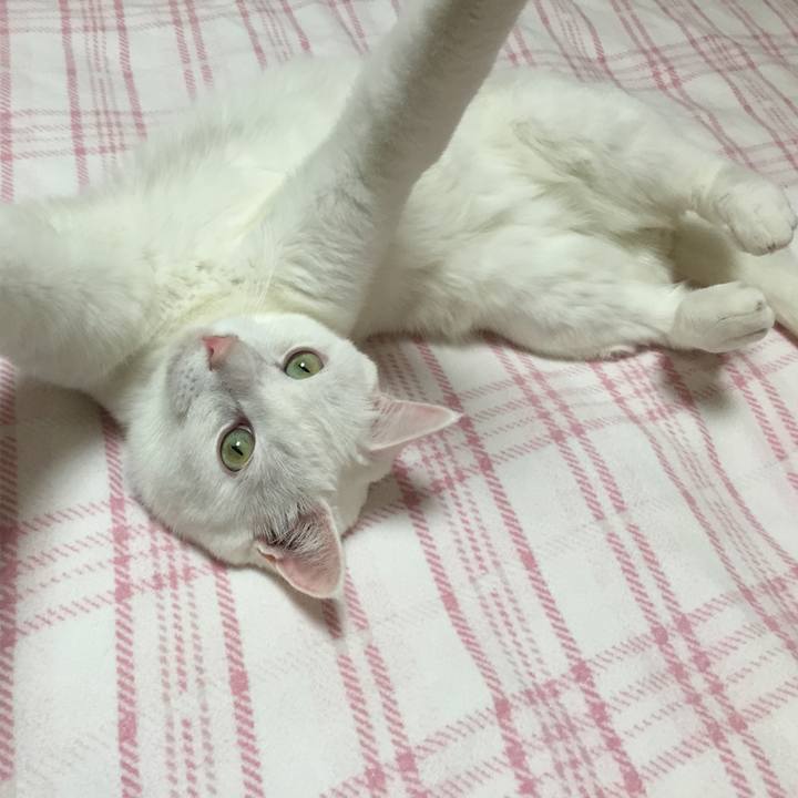 3c6925d4 5b1a 4200 ac71 37b67d7a465b