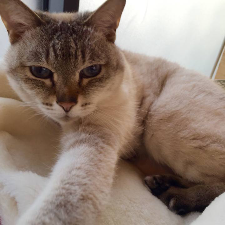 3c6959b5 4d39 4768 a2ca 58909a31b20c