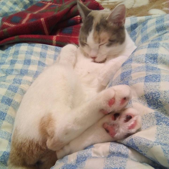 3c699058 2744 4076 8498 7e312d1a613f