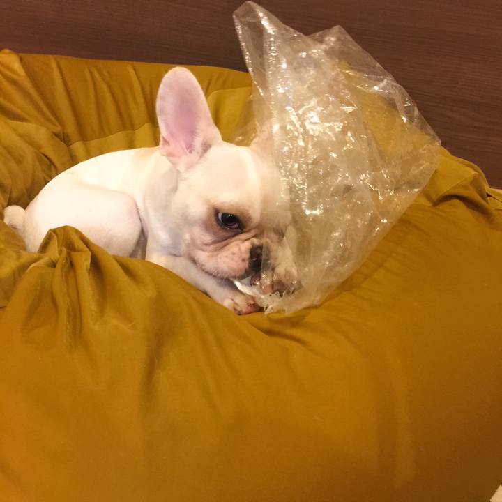 3c69a7bf f7d1 46bb 840f 4575f454aa4d