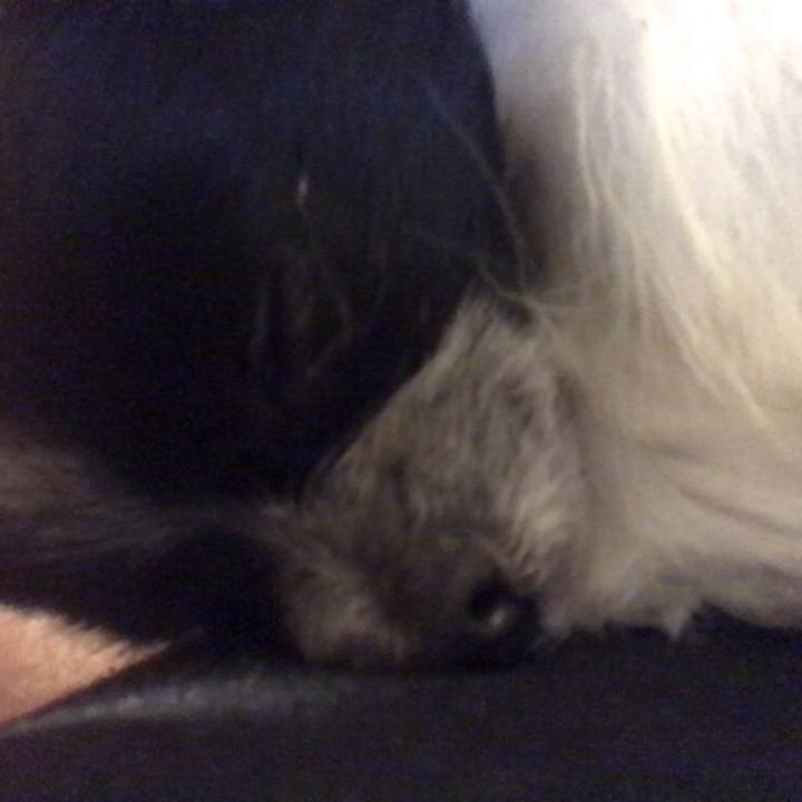 3c69ce7b 19e9 497c a9d8 5058d941b94b