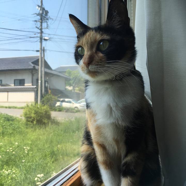 3c6a0acb d9e7 4ff6 8f5e 22e1ddba1b1b