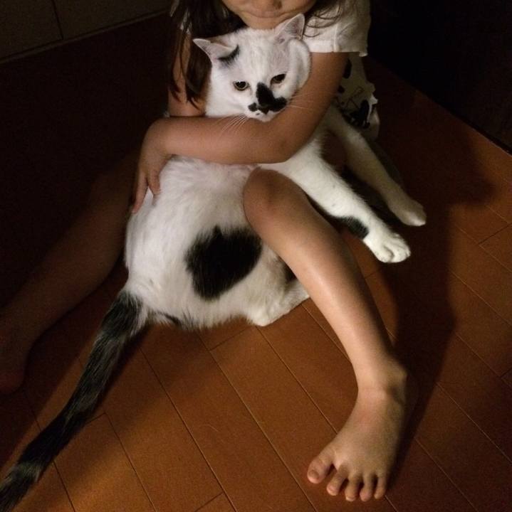 3c6a7e3d 5df7 4be6 b780 604f901b23dd