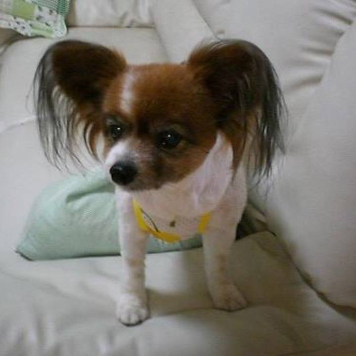 3c6aed49 b8f5 4155 8cbd 53455e922e3d