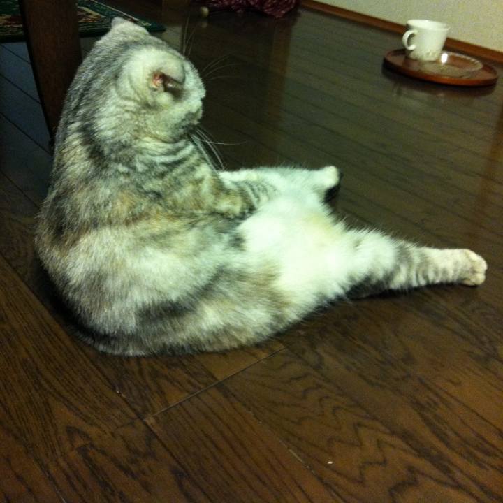 3c6b4915 1e93 4c9b 9de2 cafcba267aeb