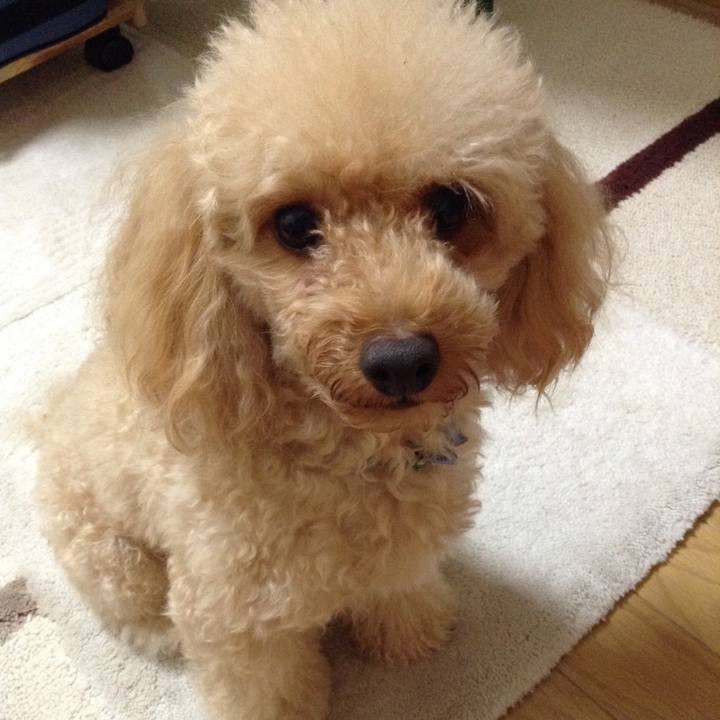 3c6bf73a ba8b 498d 82c3 f084e2a77d69