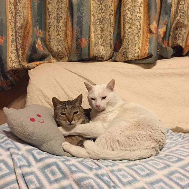 3c6c0d46 0b9a 4776 86e8 39fc28d05322