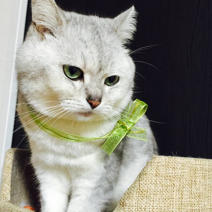 3c6ca48c 04bb 499f 97e6 39e45d62d749