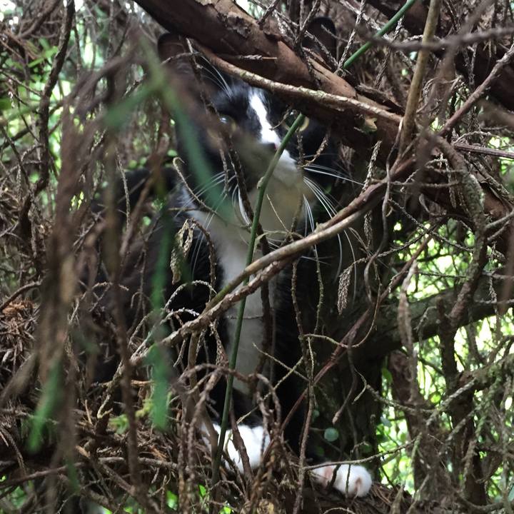 3c6ce3f8 8eed 4a6d 8f6f d609633c9de0