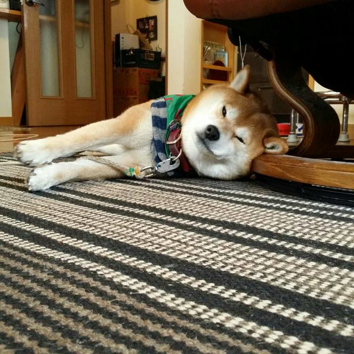 3c6e5f41 1fcd 4da2 a206 1ce9fcdefb7a