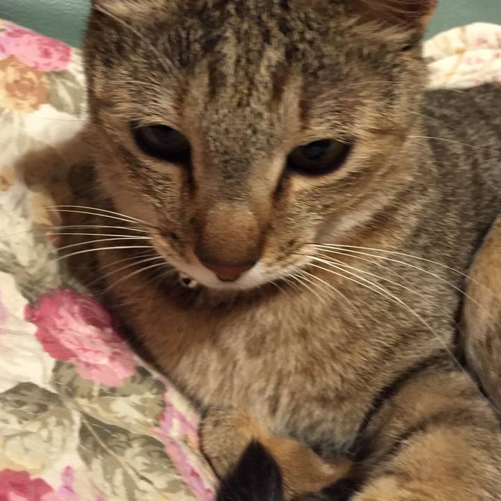 3c70c08d cb74 474c 97d1 95df67415e25