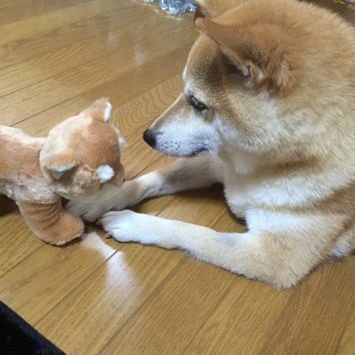 3c70dd81 1071 4553 82e1 7d6cb52348bb