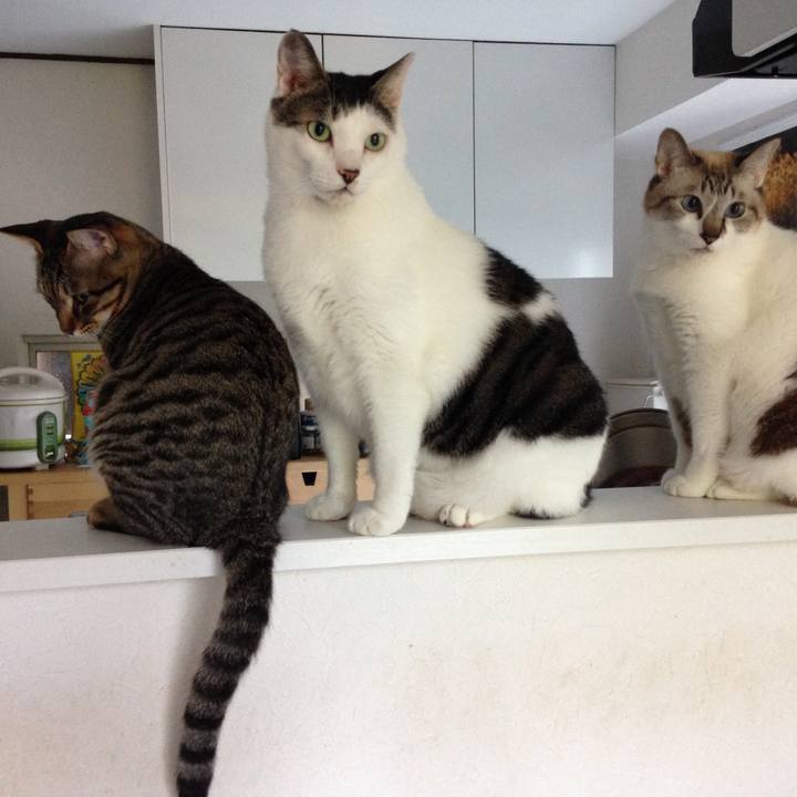 3c71437c 1080 4424 84a5 91e4d7e560ab