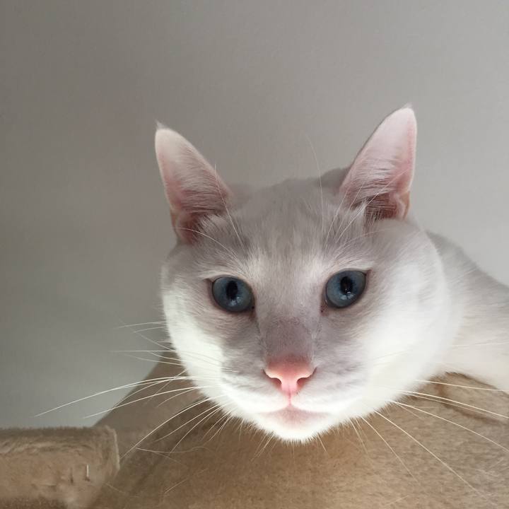 3c717cf3 1b9e 44eb 84fd df375e576345