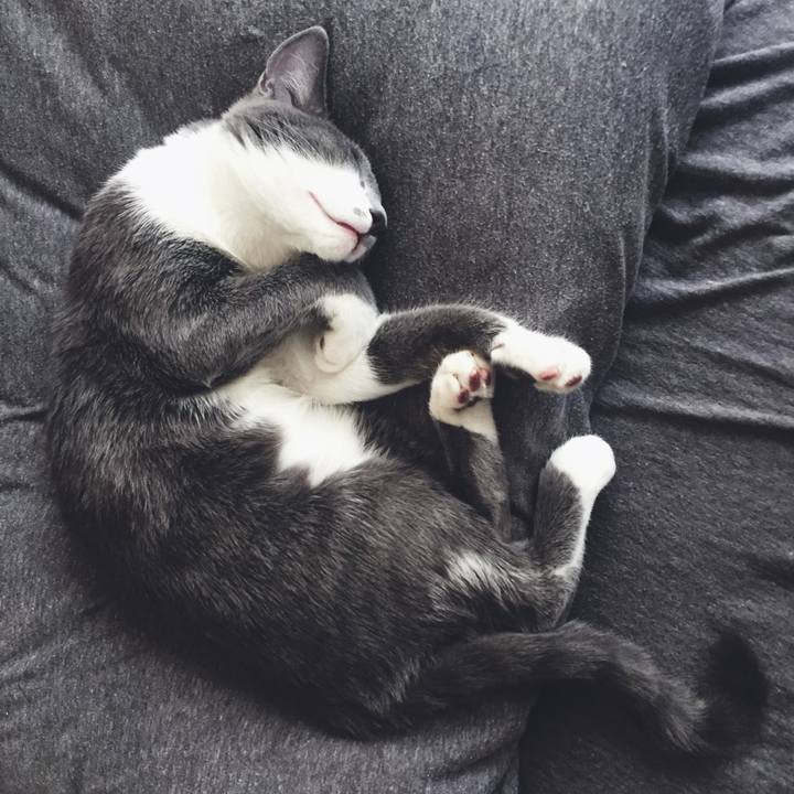 3c7230dd fe6e 4c0c afb4 f31953a6bdc1