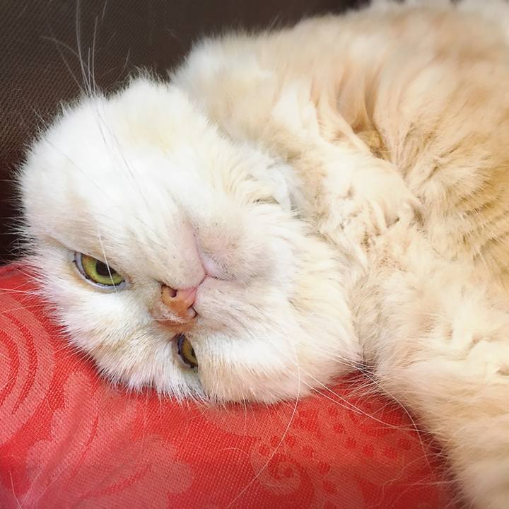 3c729c76 96e8 4de0 841b 1bed5708c03f