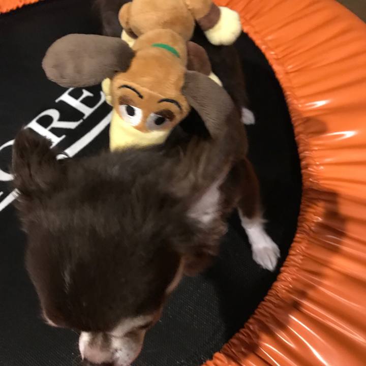 3c72a243 9002 41f9 b5a9 6c40e6ef28a6