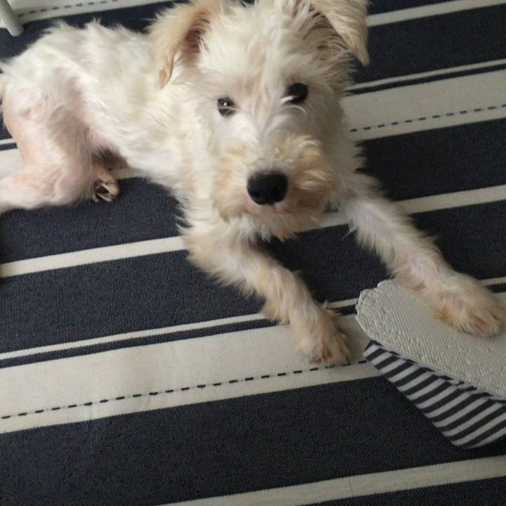 3c72fe6a 12e8 4460 b332 86d86b953451