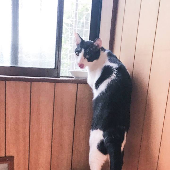 3c733bd2 dfbd 4da0 a18e fc81272deae5