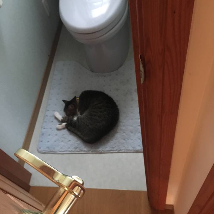 3c73f218 1076 4454 9441 253b2bc801a0