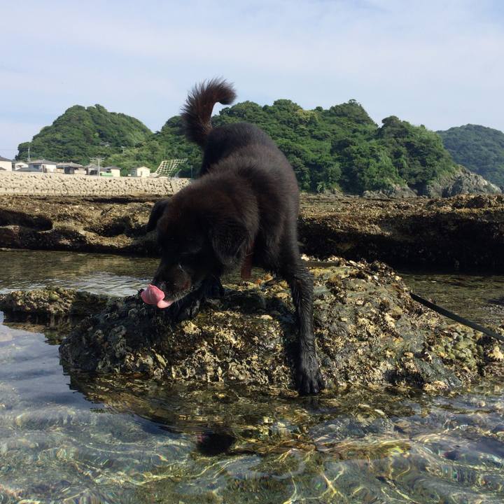 3c748b30 ac0a 4247 91cd 28b4d6f44478