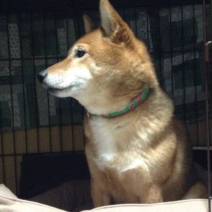 3c752219 7b9e 409a b71a d87092ea971d