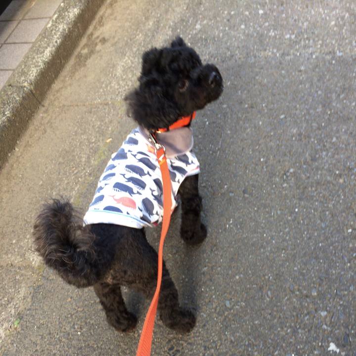 3c75b991 2b76 454b 9325 e7eefbbfbb65