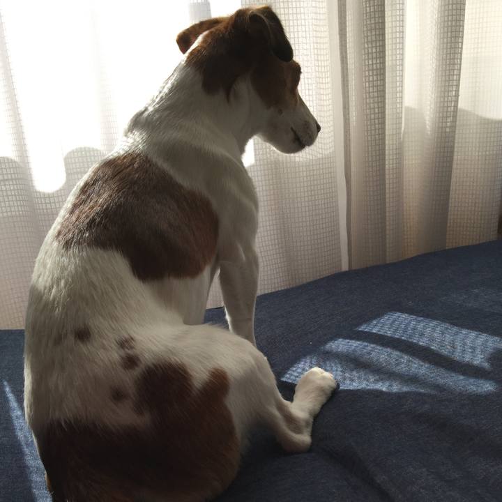 3c77c186 5a38 4ac8 9cf5 d654ba1fa896