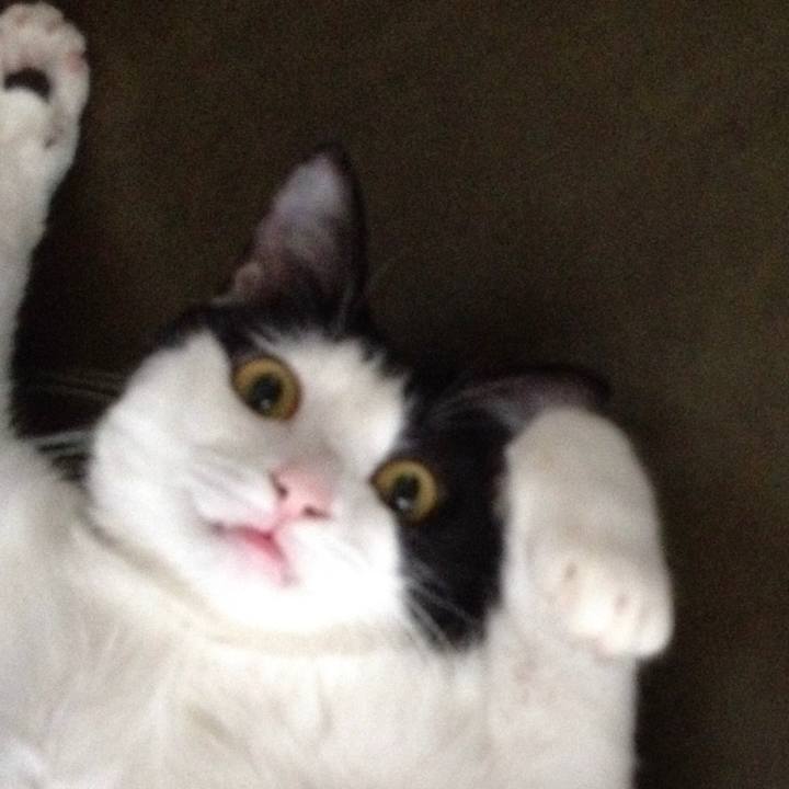 3c7829bf 97df 4a1a 9df9 5c3fc49b0023