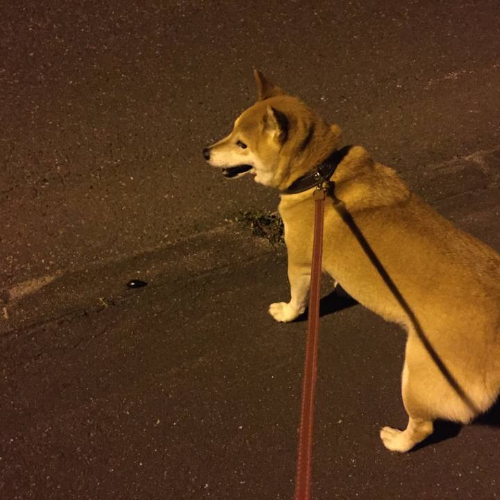 3c78db8a 3747 4355 b09c cabf8062d9ae