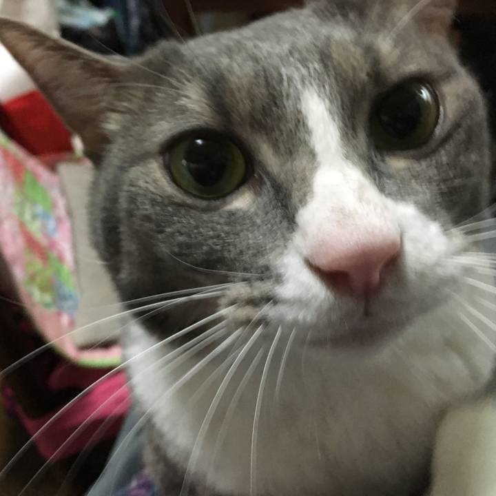 3c7940a6 c8ed 41a6 b7c4 6cde10b922fa