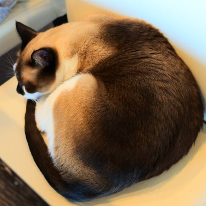 3c79d4ac 9ea0 4c33 ae67 1f30c4c947c1