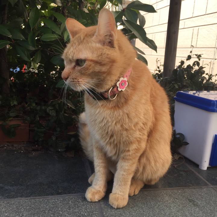 3c7a5015 88d7 4898 a3c8 50ba8a97038c