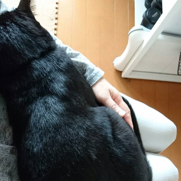 3c7ac072 b125 49b3 9ad1 7a595a16115d