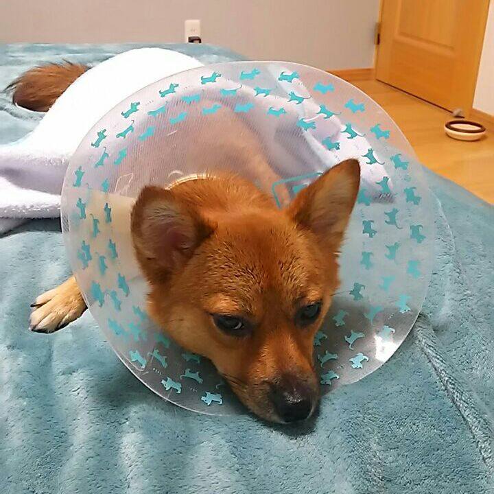 3c7b35f1 d5c8 4a42 bc03 d1c75b620530