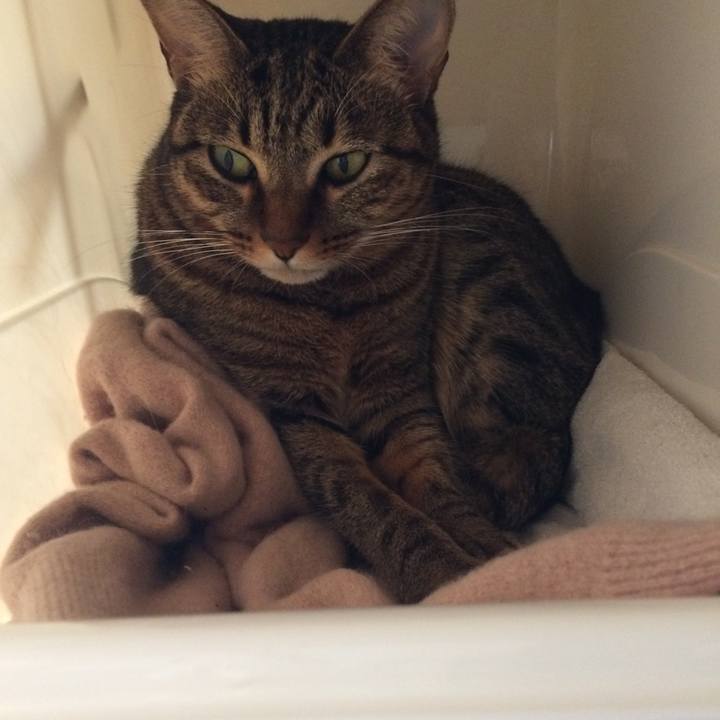 3c7b45bc 224e 4c4d 9b88 c9d641ac6821