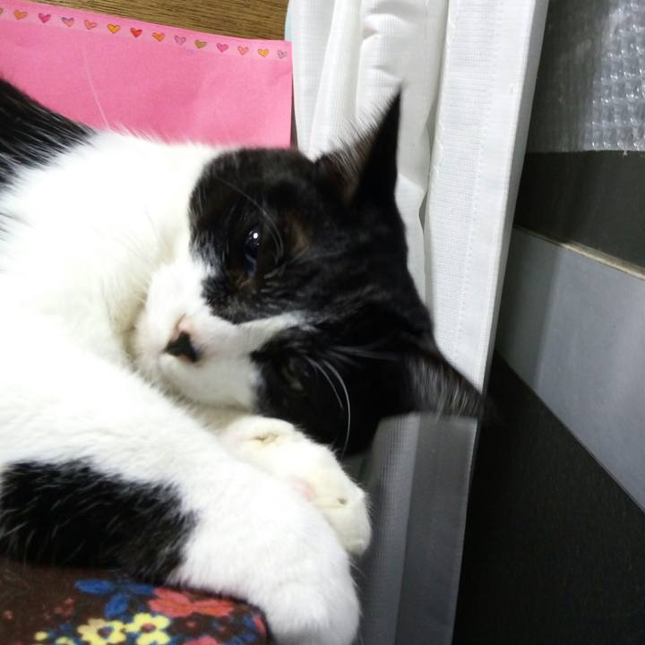 3c7bc182 9c68 4e68 974b 7a2d879d3a43